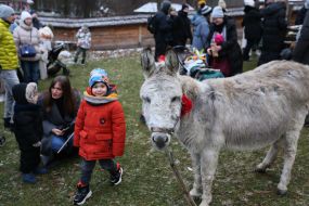 Festival "For Christmas to the Grove"