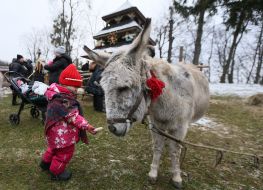 Festival "For Christmas to the Grove"
