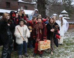 Festival "For Christmas to the Grove"