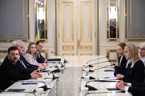 Встреча Владимира Зеленского и Элины Валтонен