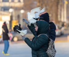 Passersby holding pigeons