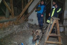 Consequences of a Russian UAV hitting a residential building in Kharkiv