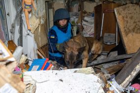 A rescuer pulls a shepherd dog out of the rubble of a house after the arrival of one of the Russian Geran-2 strike drones