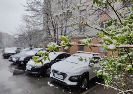 Snow fell in Kyiv