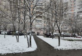 Snow fell in Kyiv