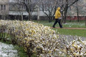 У Києві випав сніг