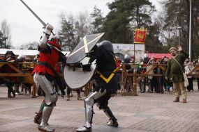Festival “Steel Guard” — a knightly tournament for veterans and soldiers