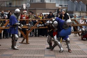 Festival “Steel Guard” — a knightly tournament for veterans and soldiers