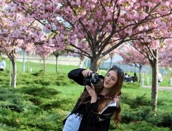 Sakura blossom in Lviv