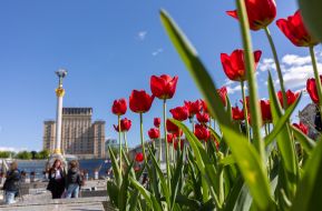 Tulips in the center of Kyiv