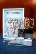 Церемонія нагородження Премії «Найкраща медична сестра України 2025»