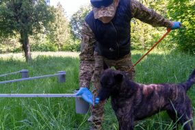 Cynologist with a dog