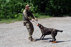 Cynologist with a dog