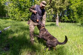 Cynologist with a dog