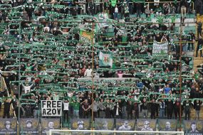 Fans in the stands