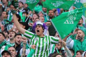 Fans in the stands