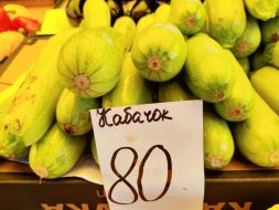 Trade in zucchini
