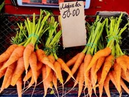 Trade in young carrots