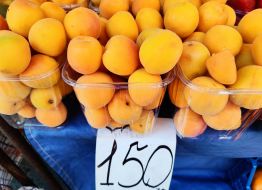Trade in apricots