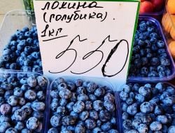 Trading in blueberries