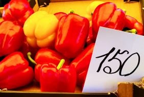 Trade in pepper