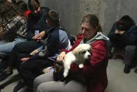 Woman with a small dog in her armshides in a shelter of the dormitory of NAU (now Kyiv Aviation Institute) in Kyiv
