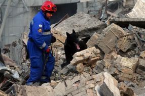 Спасатель с поисковой собакой на развалинах разрушенного в результате прямого попадания ракеты подъезда в жилом доме в Соломенском районе в Киеве