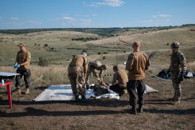 Поиск останков погибших украинских и российских военных в Донецкой области