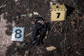 Search for the remains of fallen Ukrainian soldiers in the Kharkiv region