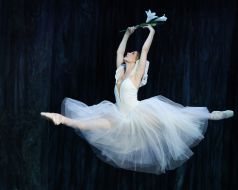 Дарина Кирик