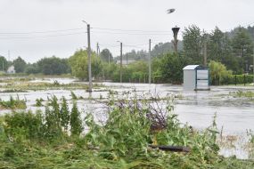 Flood in the village of Zubra, Lviv region