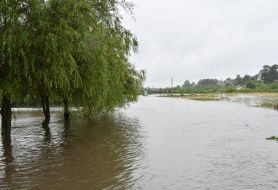 Flood in the village of Zubra, Lviv region