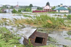 Flood in the village of Zubra, Lviv region