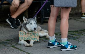 Акция против закона о НАБУ и САП в Ужгороде