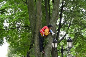 Акция за восстановление независимости НАБУ и САП под Верховной Радой