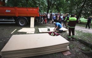 Листки фанери