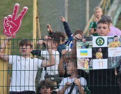 Boys cheering in the stands