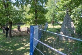 Search and exhumation works of the Ukrainian-Polish expedition in Lviv