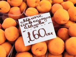 Apricots