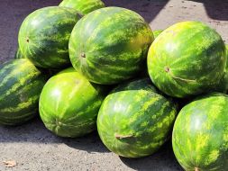 Watermelons in Kyiv