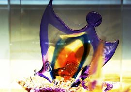 Sculptural composition "Coral Reef" by Albert Balabin