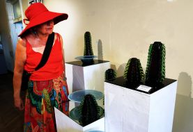 Decorative set "Karelia" by Vladimir Genschke