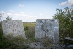 Бетонні плити з написом "Без сміття" на стихійному сміттєзвалищі поблизу Києва