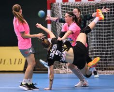 Ukrainian Handball Championship. "Halychanka" (Lviv) - "Rivne-DYUSSh-4"