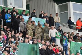 Fans in the stands