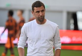 Darijo Srna