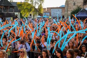 26th Children's Charity Festival "Ambassador of Childhood" in Lutsk