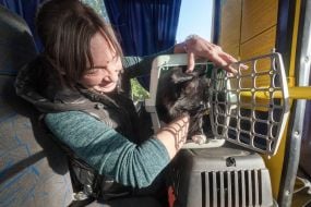 Woman taking a cat out of its carrier