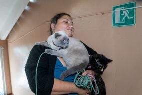 Woman holding cats in her arms