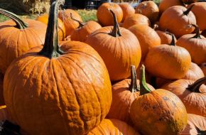 Pumpkins